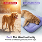 ⏰LAST DAY SALE ONLY￡8.99!!❄Pawchill™🇬🇧Pet Cooling Mat for Dogs & Cats 🐾  Naturally Cool Ice-Silk Pad • Breathable, Washable & Soft 🌿  For Floors, Sofas & Car Travel • Multiple Sizes • Gradient Colours ☀️🐶🐱