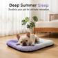 ⏰LAST DAY SALE ONLY￡8.99!!❄Pawchill™🇬🇧Pet Cooling Mat for Dogs & Cats 🐾  Naturally Cool Ice-Silk Pad • Breathable, Washable & Soft 🌿  For Floors, Sofas & Car Travel • Multiple Sizes • Gradient Colours ☀️🐶🐱